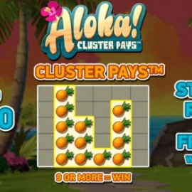 Aloha! Cluster Pays tutorial de início rápido para a versão demo gratuita